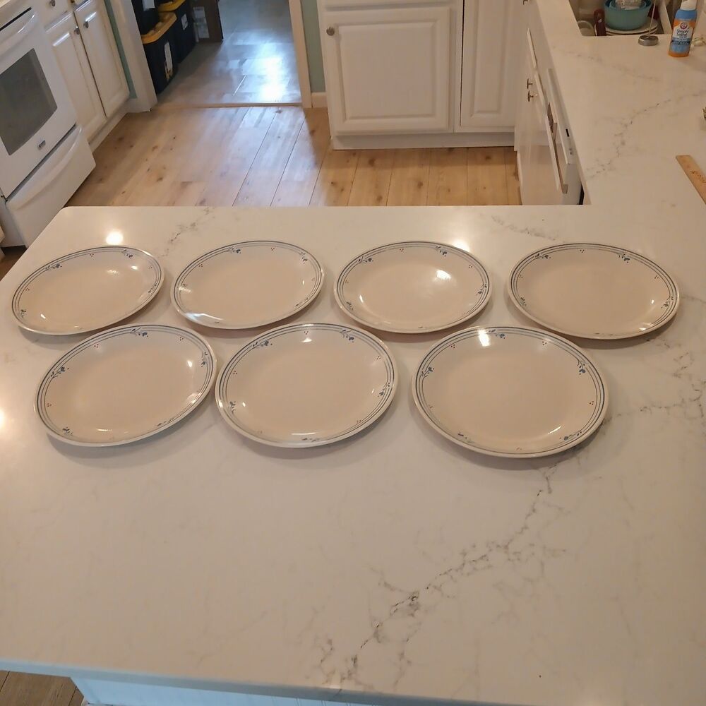 VTG Set Of 7 Corning Corelle Country Violets 10.25" Dinner Plates Discontinued